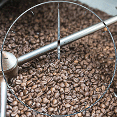 How to Find a Coffee Bean Supplier: What to Look for and Why Stokes Coffee is a Leading Choice