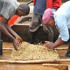 Stokes Coffee - Fair Trade & Fabulous!