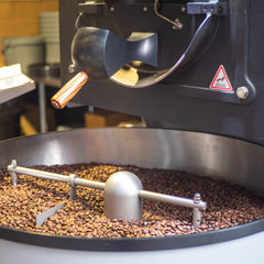 The Coffee Lifecycle: How Coffee is Made
