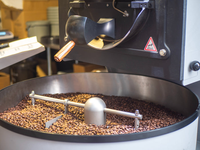 The Coffee Lifecycle: How Coffee is Made