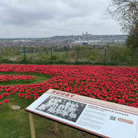 A Local Hero Remembered: Major Donald Robert Stokes and the 80th Anniversary of VE Day