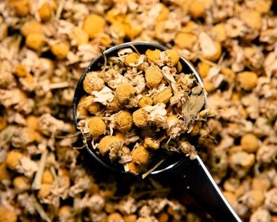 Camomile - Wholesale Tea