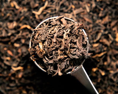 Darjeeling - Wholesale Tea