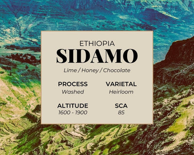 Ethiopia Sidamo Tasting Notes