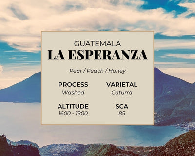 La Esperanza Tasting Card