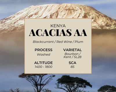 Acacias AA Coffee Card with mountains in the background