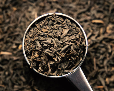 Lapsang Souchong - Wholesale Tea