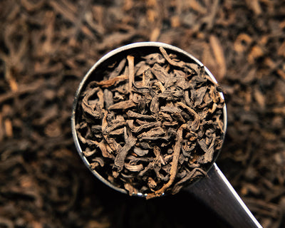 Pu Erh - Wholesale Tea