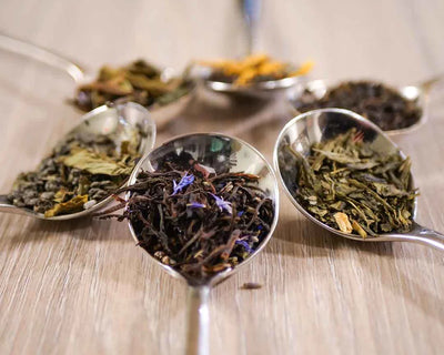 Tea Tasting Experience
