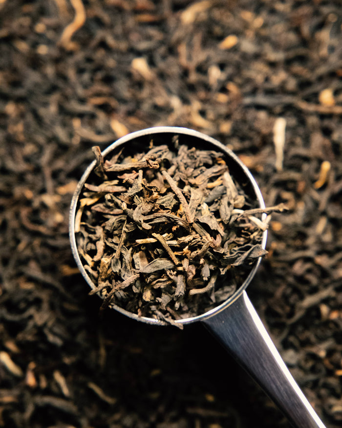 Yunnan - Wholesale Tea