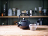 Cast Iron Teapot