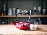 Cast Iron Teapot