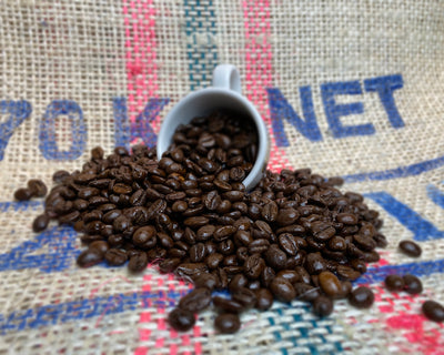 Continental Coffee Beans spilling out of an espresso cup