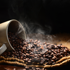 How to Find a Coffee Bean Supplier: What to Look for and Why Stokes Coffee is a Leading Choice