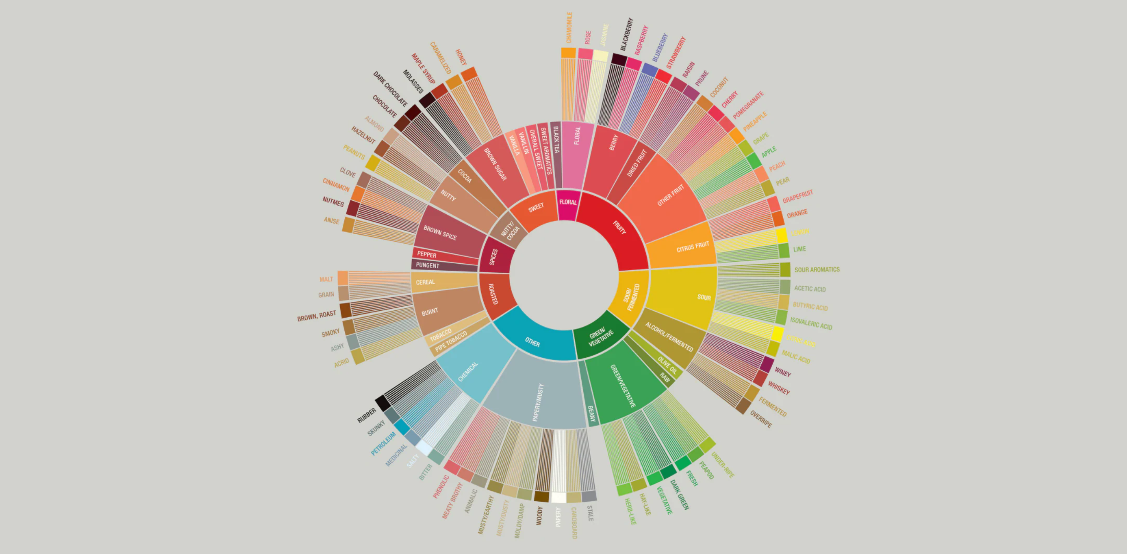 Understanding ‘Specialty Coffee’ and How It Can Up Your Coffee Game?