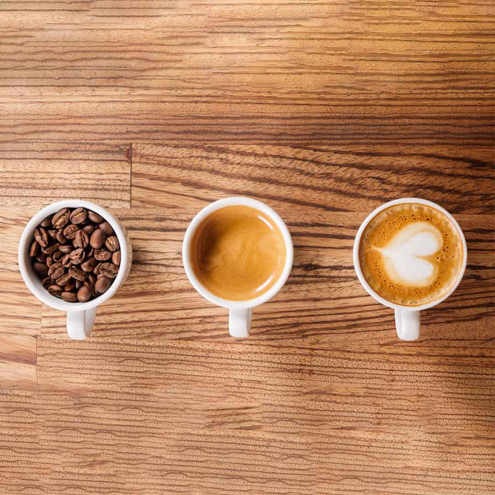https://stokescoffee.com/cdn/shop/articles/How-is-coffee-made_350x@2x.jpg?v=1692265868