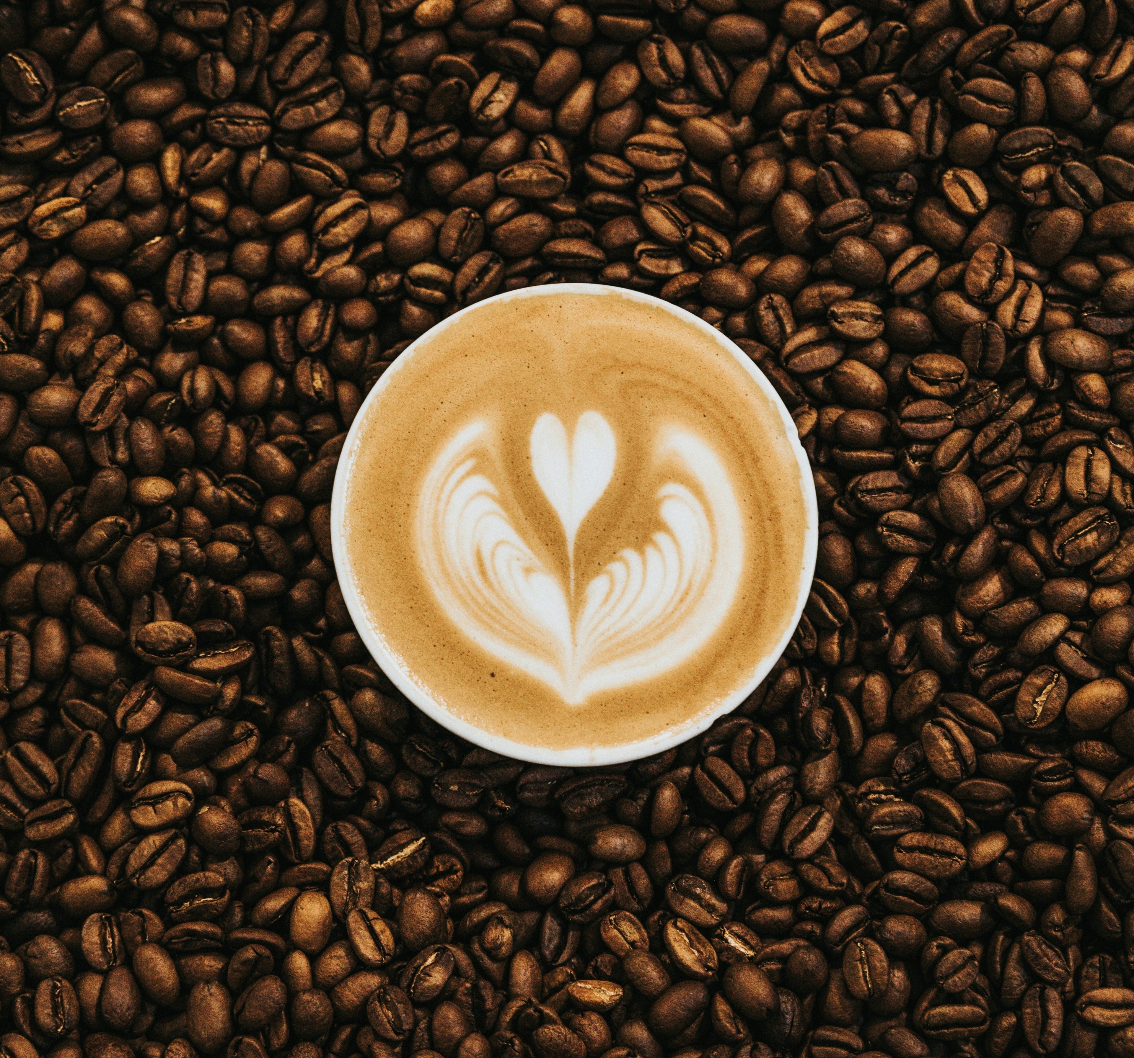 Machiato Coffee in a Stokes Cup