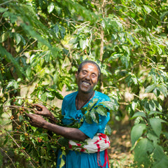 Bringing Clean Water to Coffee-Growing Communities