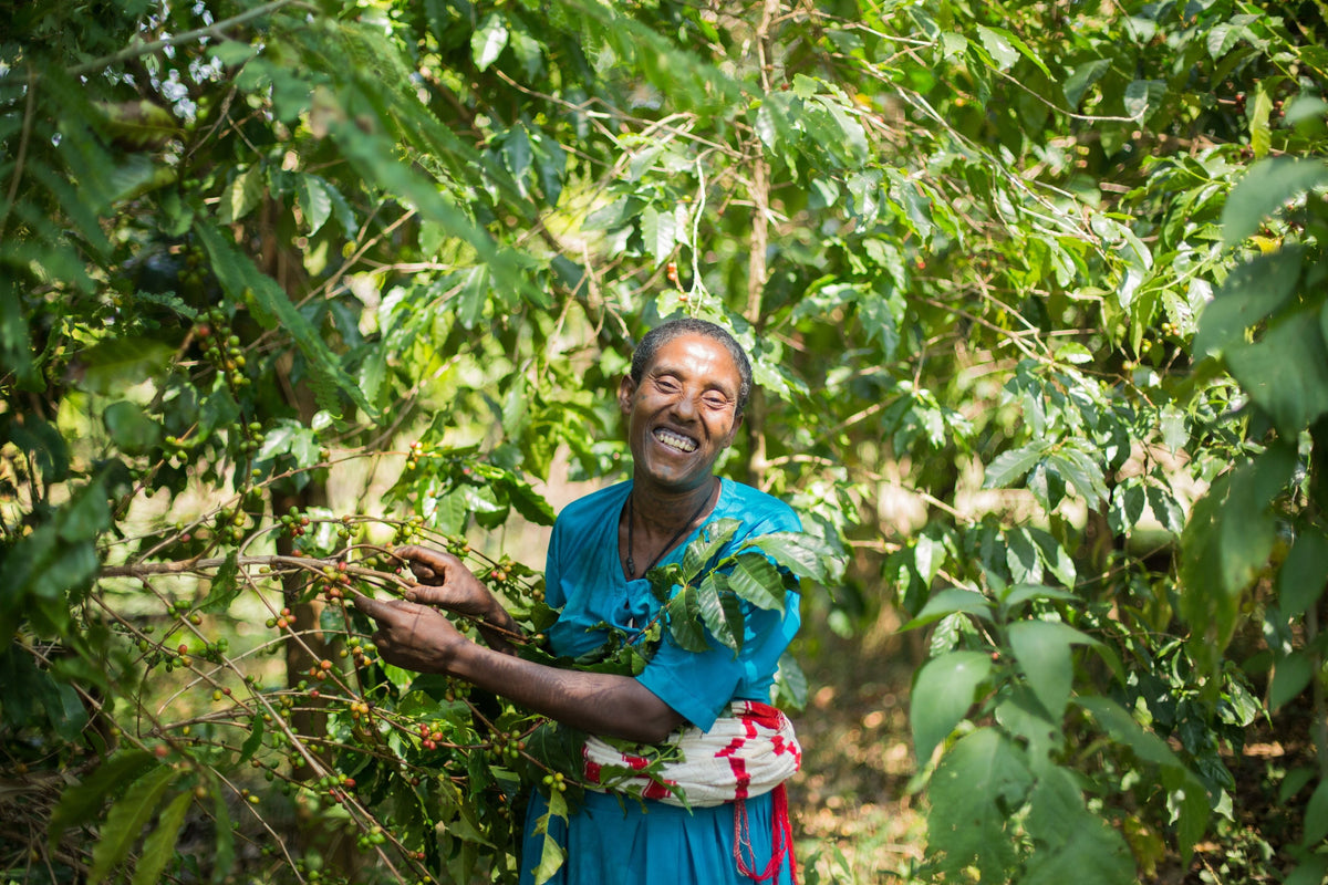 Bringing Clean Water to Coffee-Growing Communities