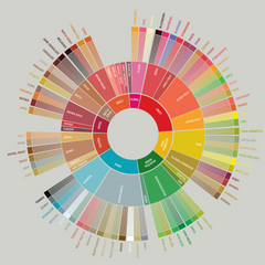 Understanding ‘Specialty Coffee’ and How It Can Up Your Coffee Game?