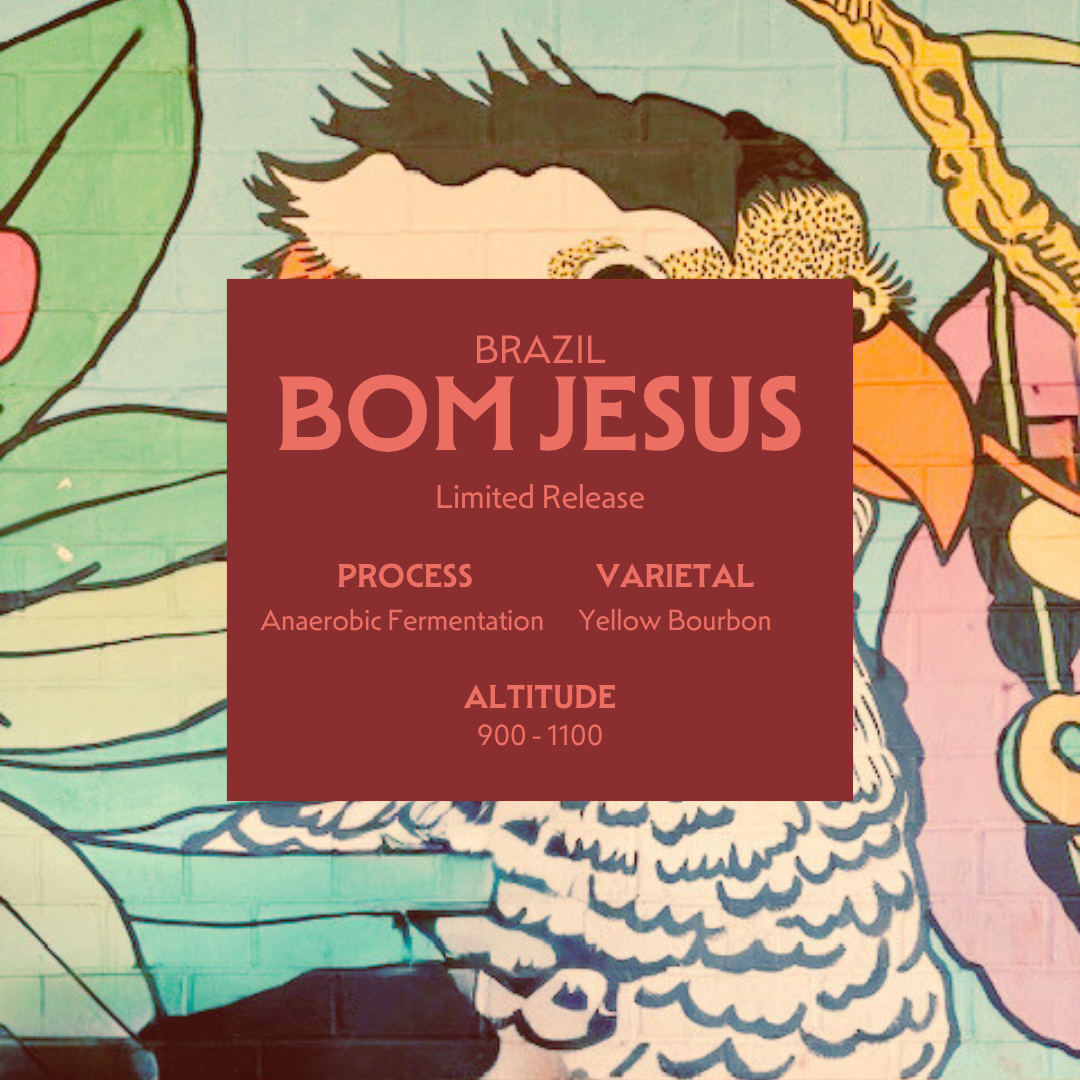 BOM JESUS