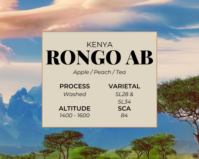 Rongo AB