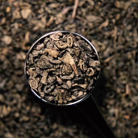 Green Gunpowder - Wholesale Tea