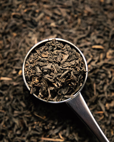 Lapsang Souchong - Wholesale Tea