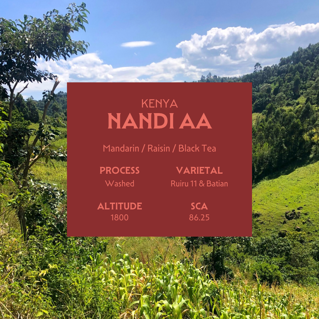 Nandi AA