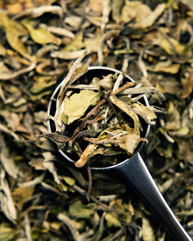 Pai Mu Tan - Wholesale Tea