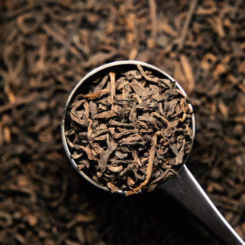 Pu Erh - Wholesale Tea