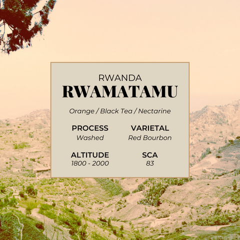 Rwamatamu