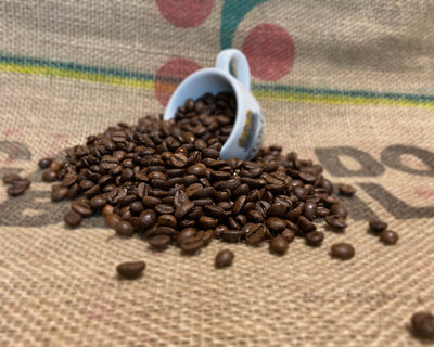Stokes Samba Blend - Wholesale coffee