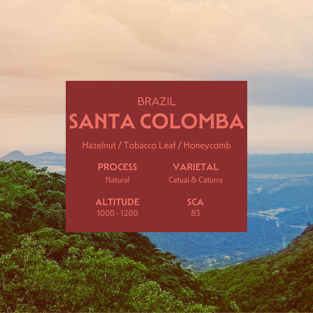 Santa Colomba