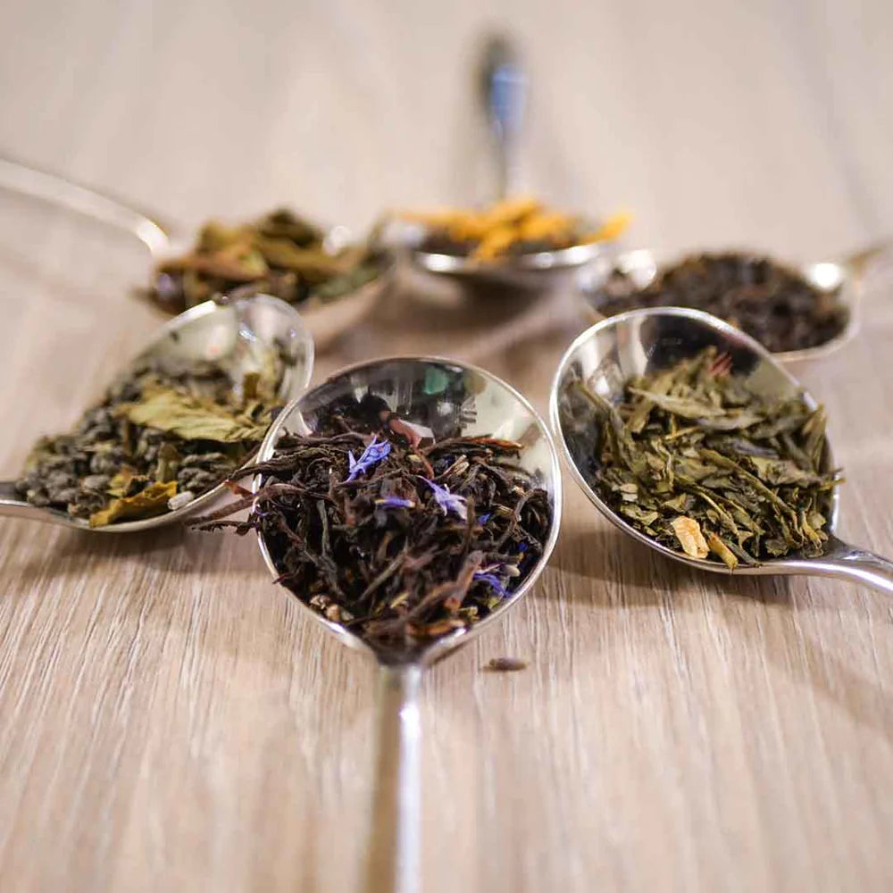 Tea Tasting Experience