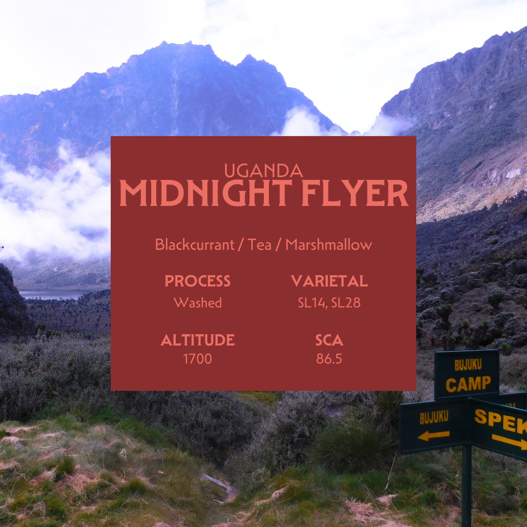 Midnight Flyer