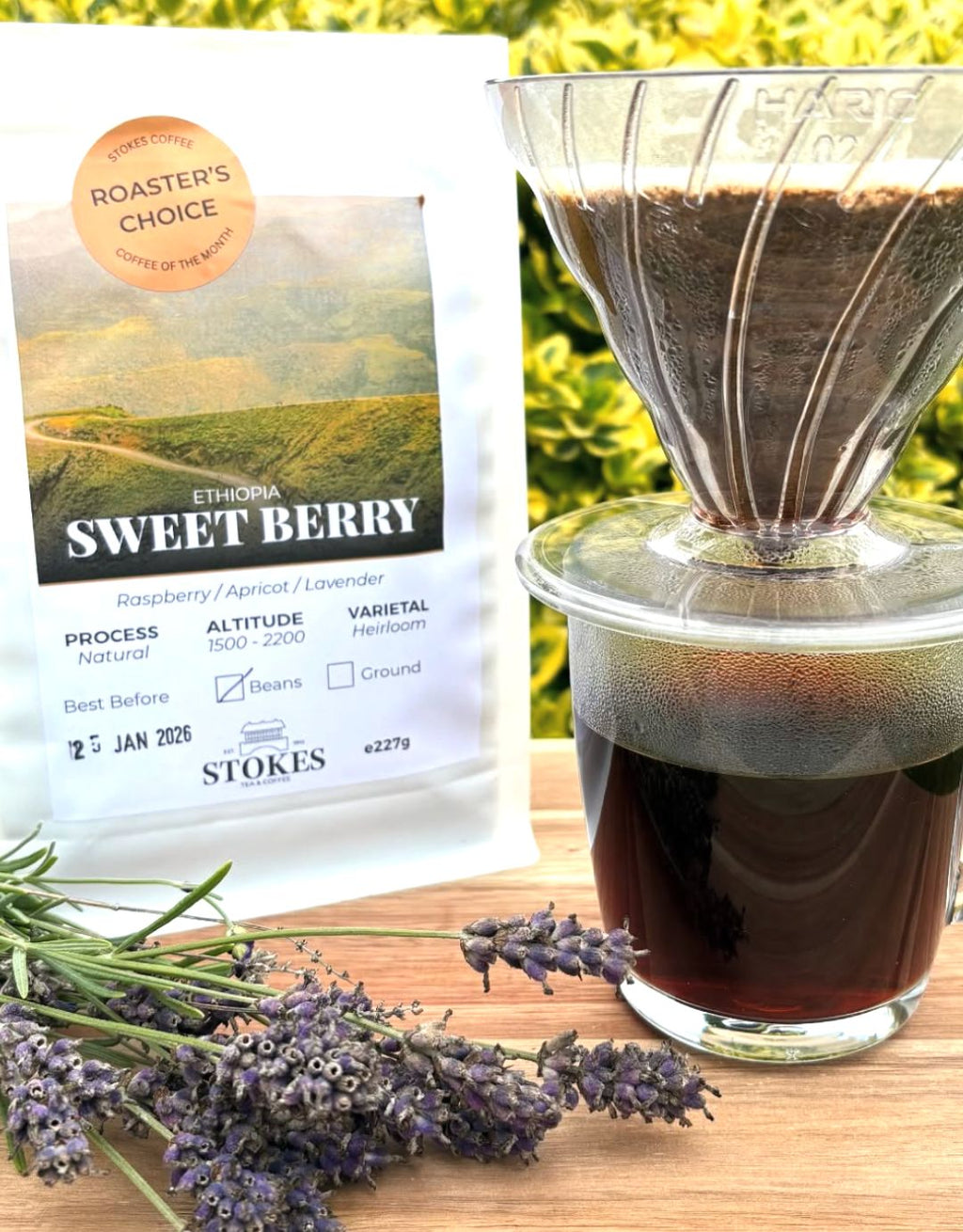 Roasters Choice